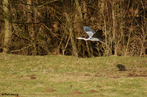 Image hébergée par Casimages.com : votre hébergeur d images simple et gratuit