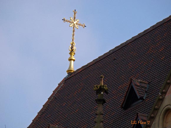 Image hébergée par Casimages.com : votre hébergeur d images simple et gratuit