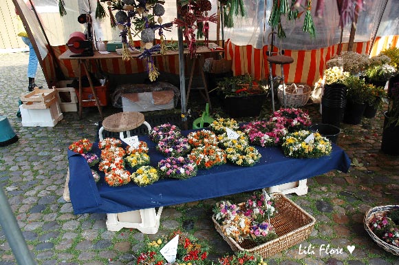 Image hébergée par Casimages.com : votre hébergeur d images simple et gratuit