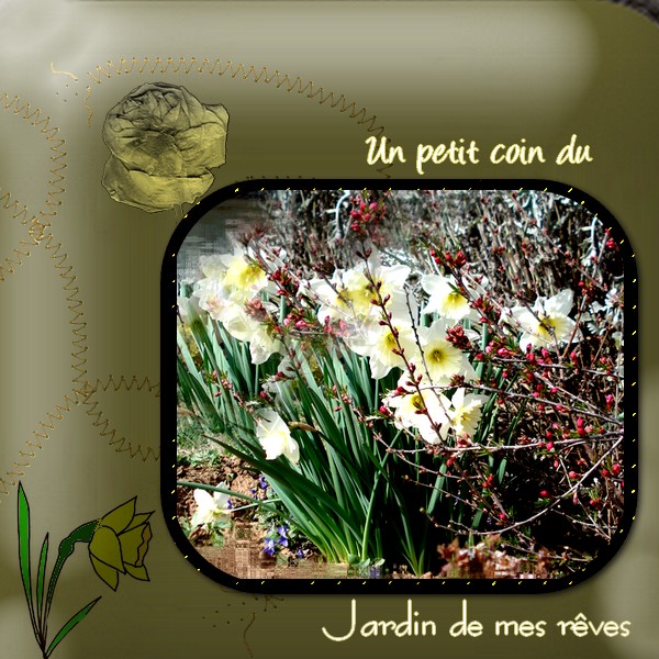 Mon jardin et la nature - Page 19 090311035100415263298274