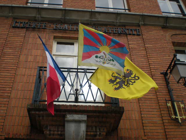 De Vlaamse vlag op de gemeentehuizen 090316104930440053323559