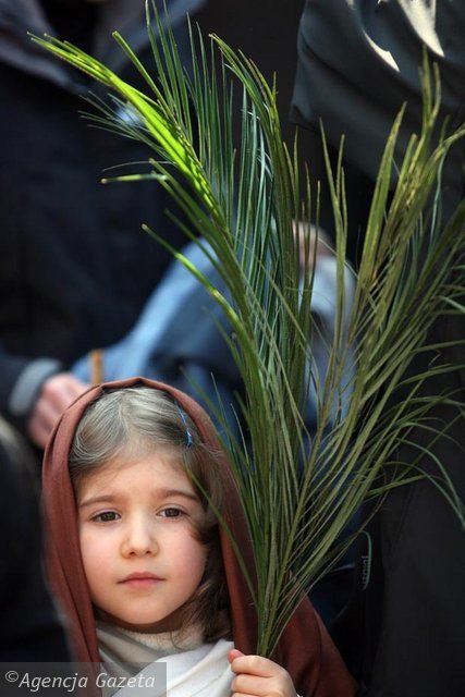 Image hébergée par Casimages.com : votre hébergeur d images simple et gratuit