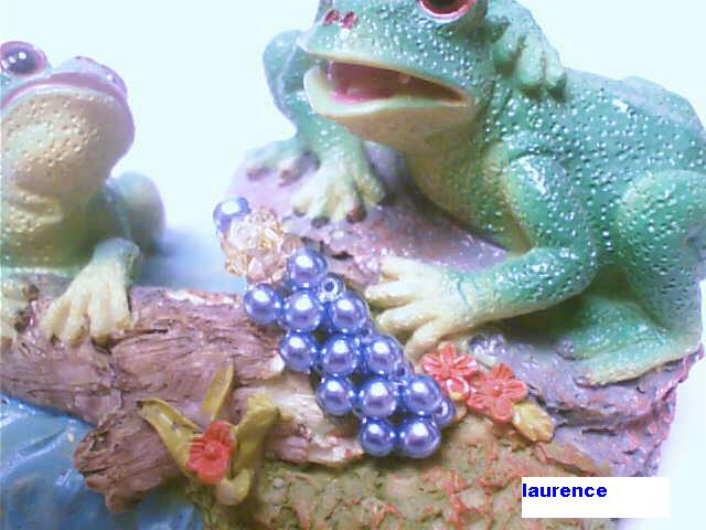 Image hébergée par Casimages.com : votre hébergeur d images simple et gratuit