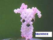 Hebergement gratuit d image et photo