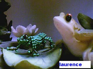 Image hébergée par Casimages.com : votre hébergeur d images simple et gratuit
