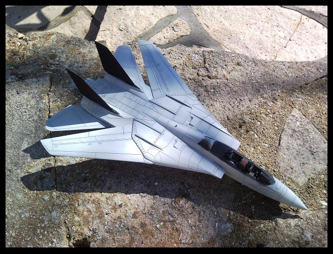 [REVELL] 1/72 - Grumman F-14D Super Tomcat  - Page 3 090331042132101733404417