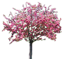 Image hébergée par Casimages.com : votre hébergeur d images simple et gratuit
