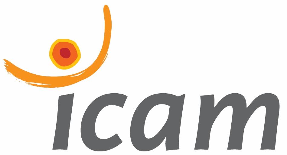 Nouveau logo ICAM