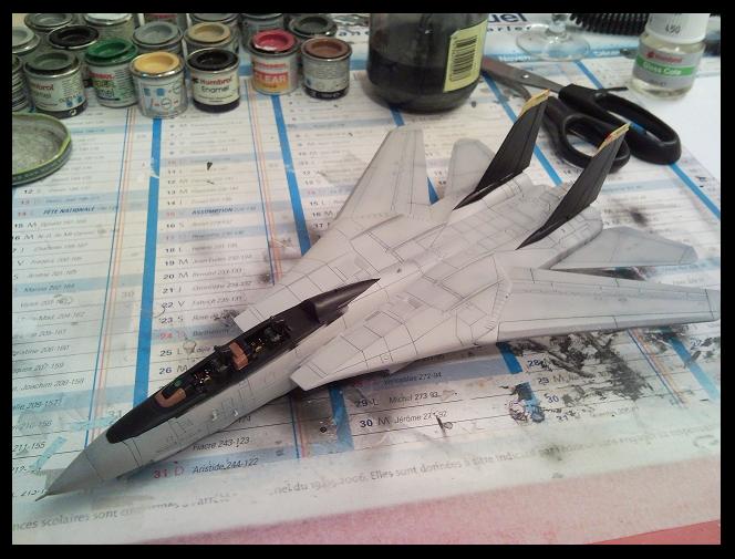 [REVELL] 1/72 - Grumman F-14D Super Tomcat  - Page 3 090408101229101733449573