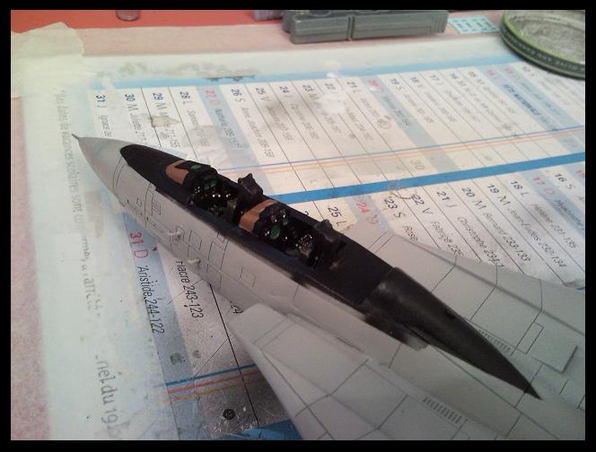 [REVELL] 1/72 - Grumman F-14D Super Tomcat  - Page 3 090408101252101733449576