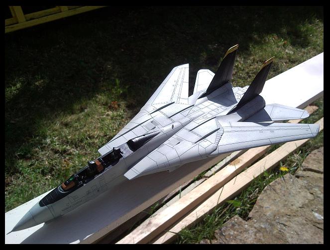 [REVELL] 1/72 - Grumman F-14D Super Tomcat  - Page 3 090409114540101733451364
