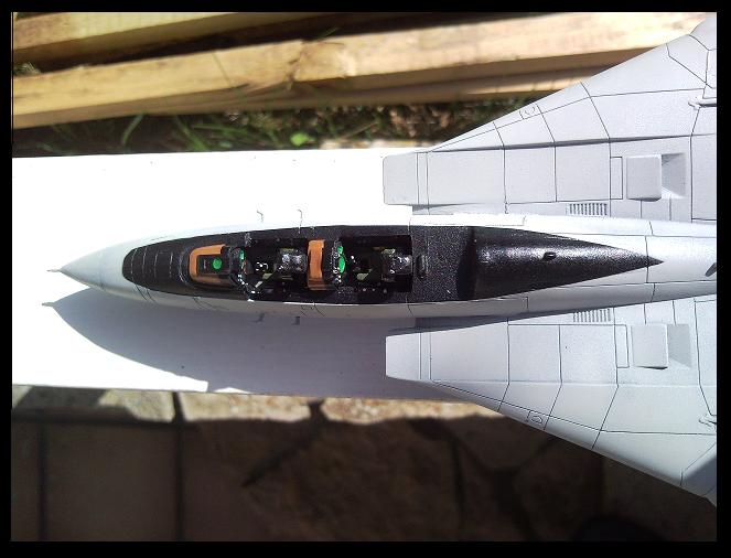 [REVELL] 1/72 - Grumman F-14D Super Tomcat  - Page 3 090409114641101733451384