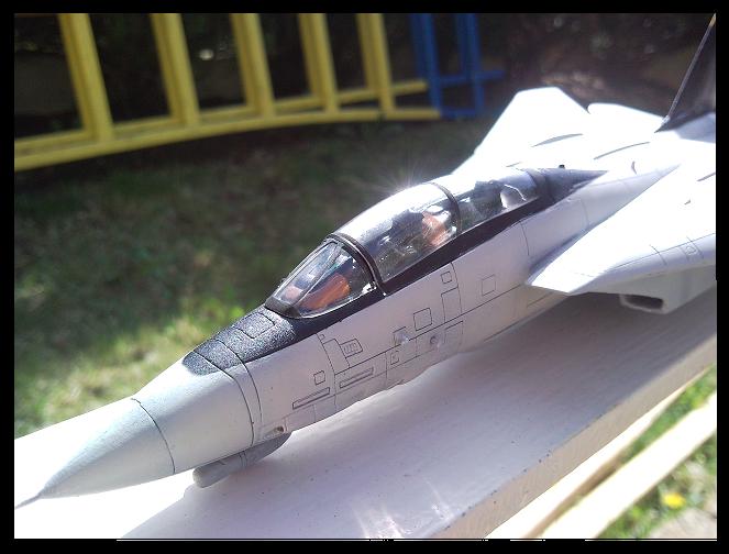 [REVELL] 1/72 - Grumman F-14D Super Tomcat  - Page 3 090409114849101733451398