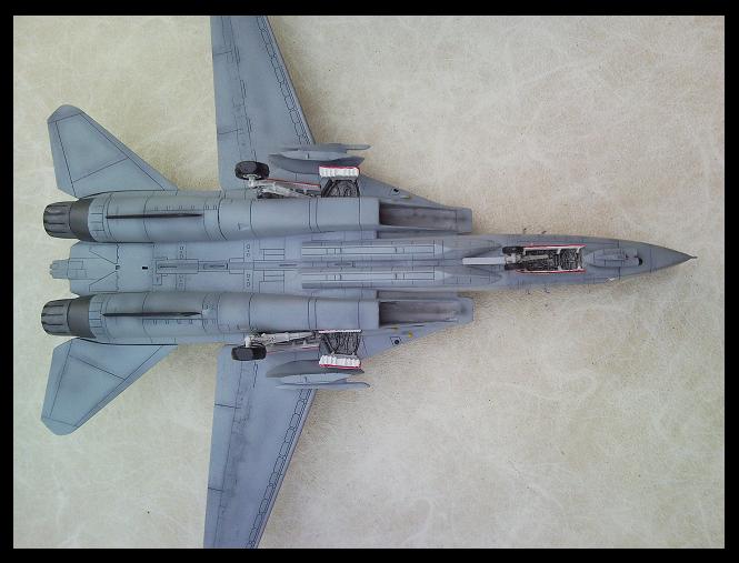 [REVELL] 1/72 - Grumman F-14D Super Tomcat  - Page 4 090412074558101733468525