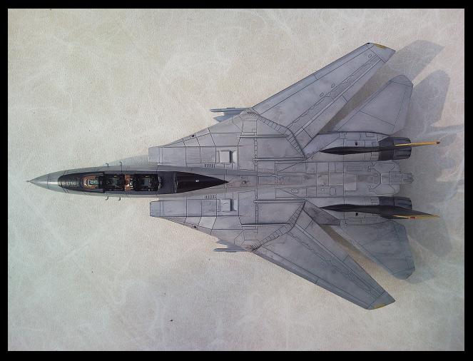 [REVELL] 1/72 - Grumman F-14D Super Tomcat  - Page 4 090414105910101733477872