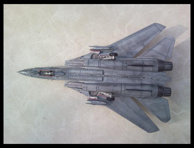 [REVELL] 1/72 - Grumman F-14D Super Tomcat  - Page 4 090414105951101733477874