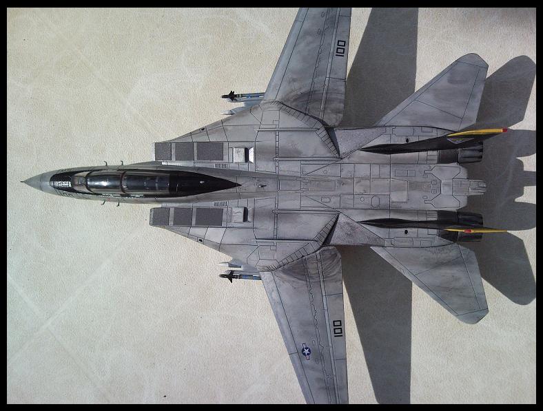 [REVELL] 1/72 - Grumman F-14D Super Tomcat  - Page 4 090415113846101733483469