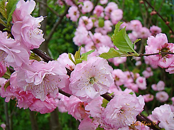 Image hébergée par Casimages.com : votre hébergeur d images simple et gratuit