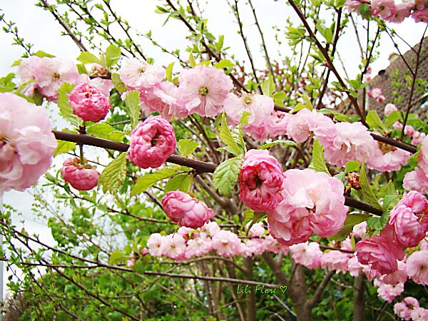 Image hébergée par Casimages.com : votre hébergeur d images simple et gratuit