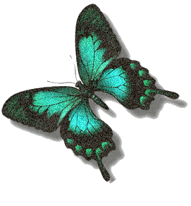 Image hébergée par Casimages.com : votre hébergeur d images simple et gratuit