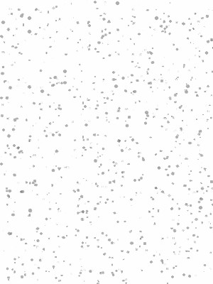 NEIGE (02)