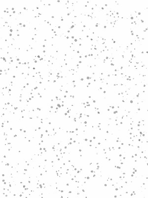 NEIGE (03)
