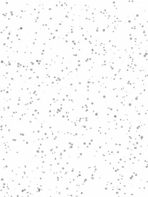 NEIGE (05)