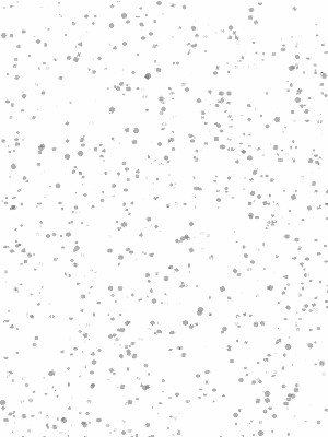 NEIGE (06)