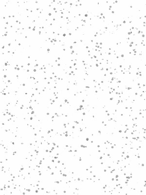 NEIGE (07)