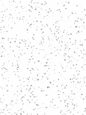 NEIGE (08)