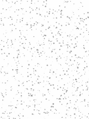 NEIGE (09)