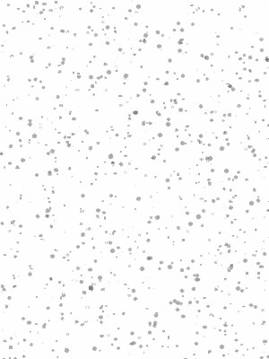 NEIGE (10)