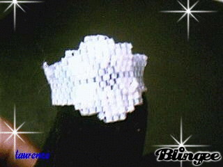 Image hébergée par Casimages.com : votre hébergeur d images simple et gratuit