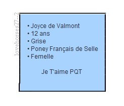 Sans titre 5