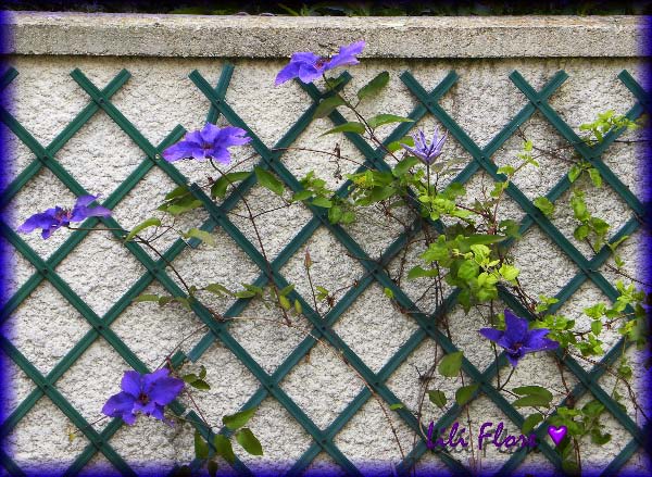Image hébergée par Casimages.com : votre hébergeur d images simple et gratuit