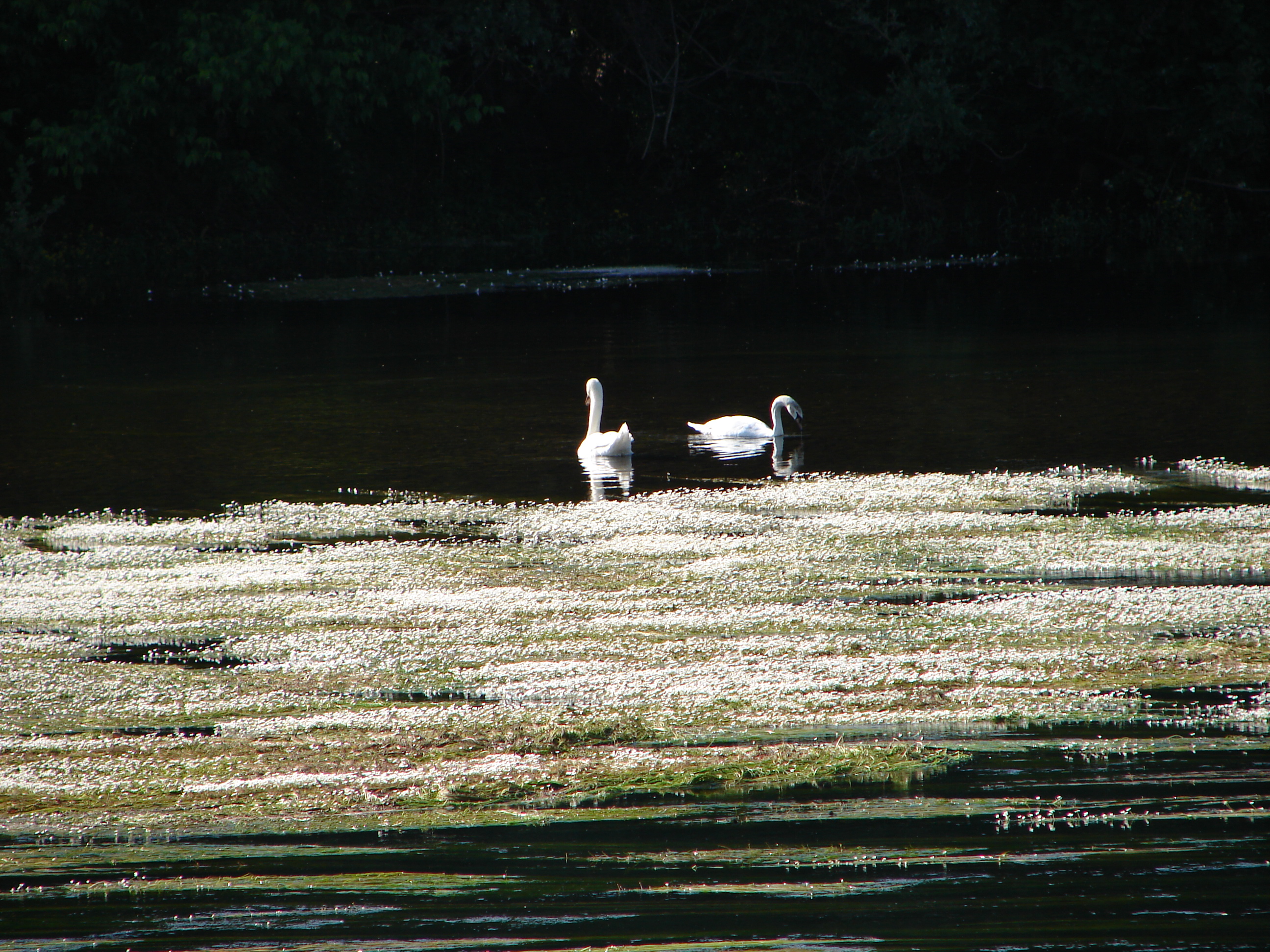 captur&Atilde;&copy;es 2006-6-11 00012