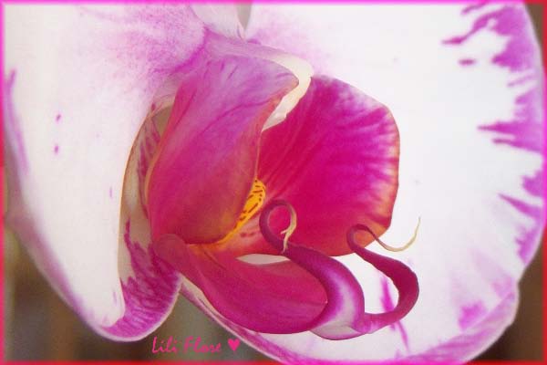 Image hébergée par Casimages.com : votre hébergeur d images simple et gratuit