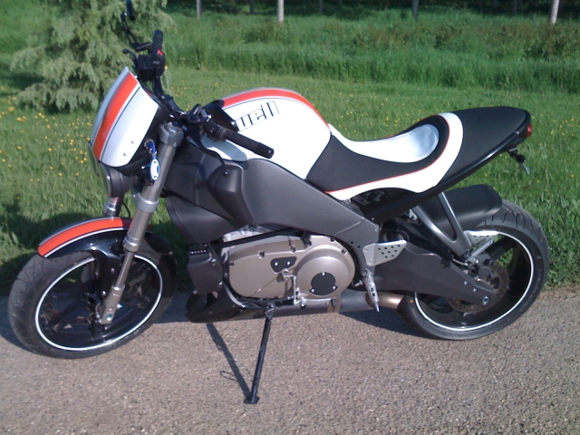 BUELL TERRIER ' TOY  STORY 2 090513053728676863653641