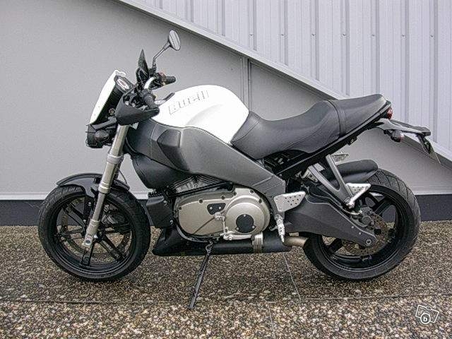 BUELL TERRIER ' TOY  STORY 2 090513054524676863653735