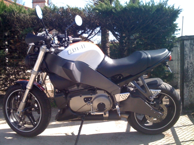 BUELL TERRIER ' TOY  STORY 2 090513054635676863653739