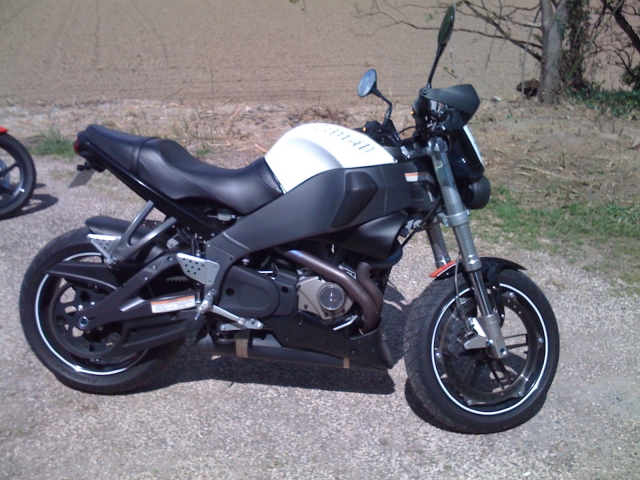 BUELL TERRIER ' TOY  STORY 2 090513054724676863653761