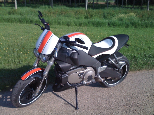 BUELL TERRIER ' TOY  STORY 2 090513054805676863653764