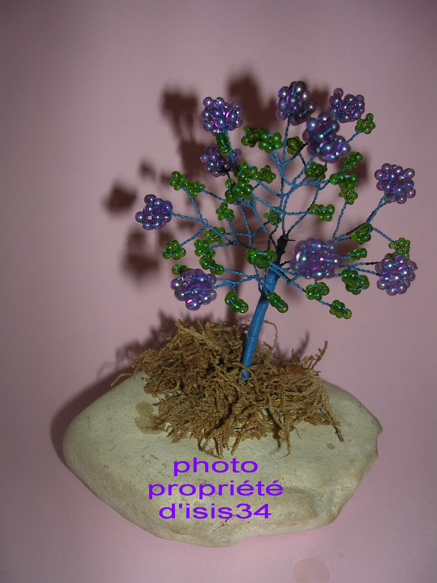 petit hortensia propri&eacute;t&eacute;