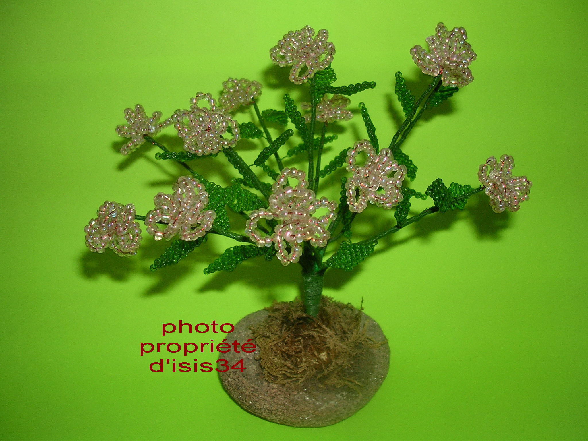 grand hortensia propri&eacute;t&eacute;