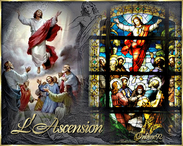 Bonne fête de l'Ascension à tous 090521092441377663706086