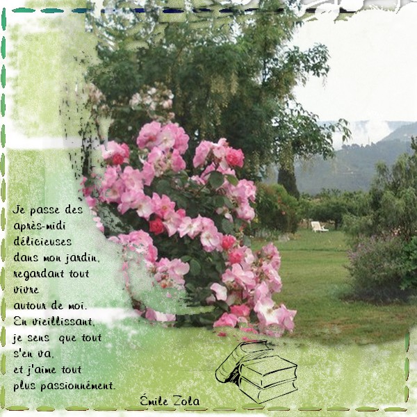 Mon jardin et la nature - Page 26 090522044834415263710631
