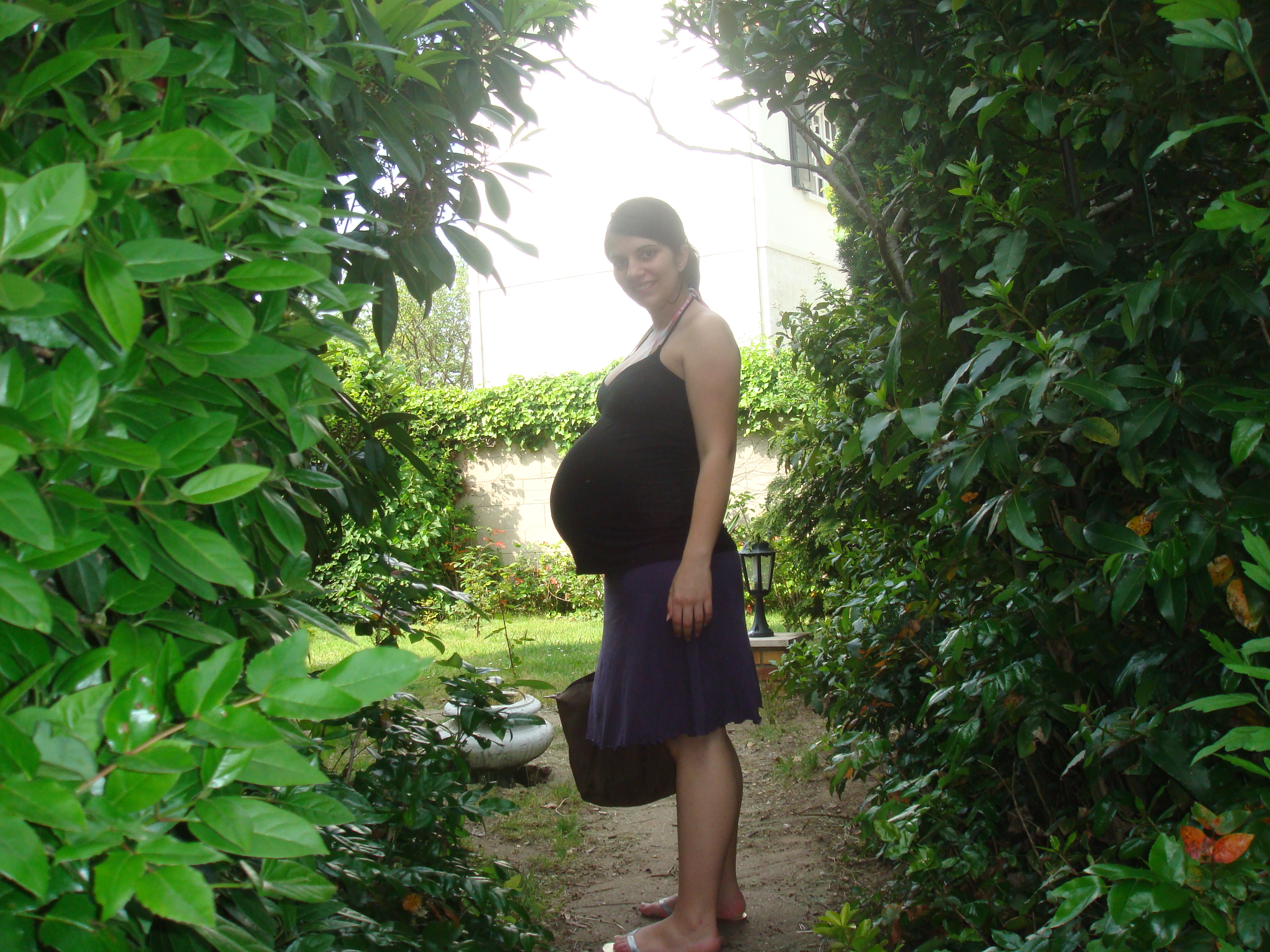 Photo 098