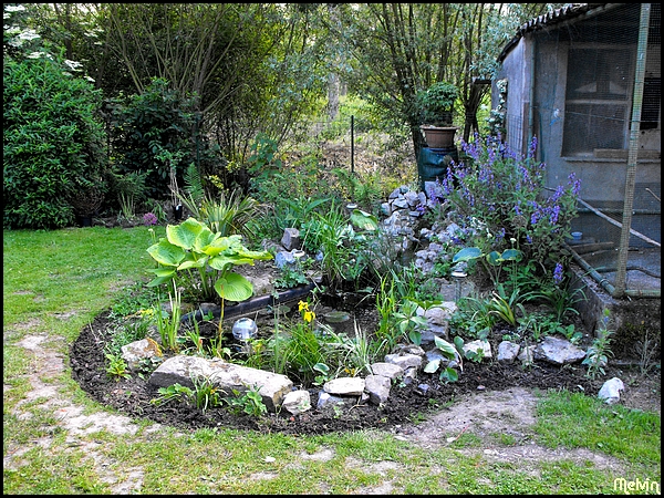 un jardin en Avesnois 090603122919364473794878