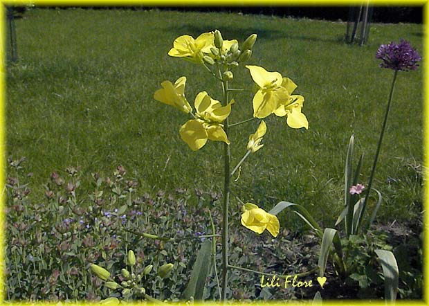 Image hébergée par Casimages.com : votre hébergeur d images simple et gratuit