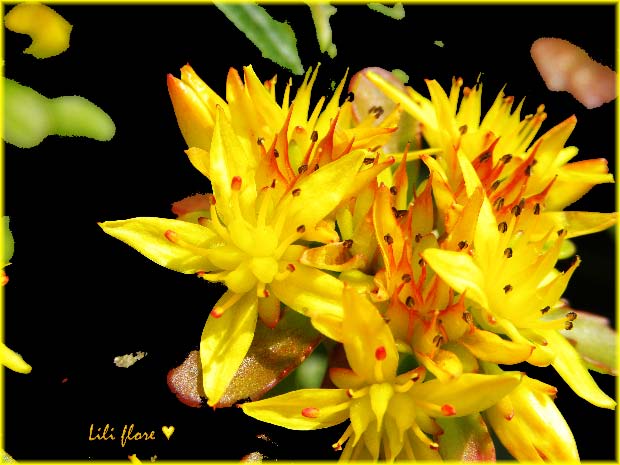 Image hébergée par Casimages.com : votre hébergeur d images simple et gratuit